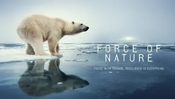 Backdrop for the TV series "Force of Nature" #1230094