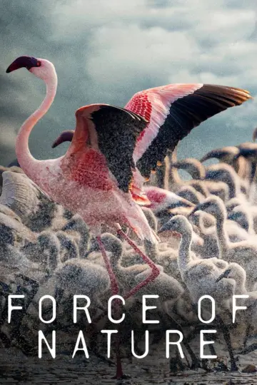 Poster for the TV series "Force of Nature" #1230097