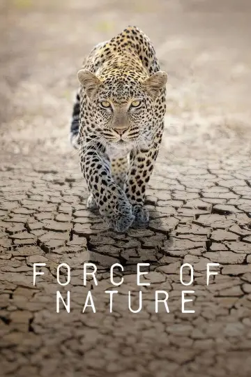 Poster for the TV series "Force of Nature" #1230098