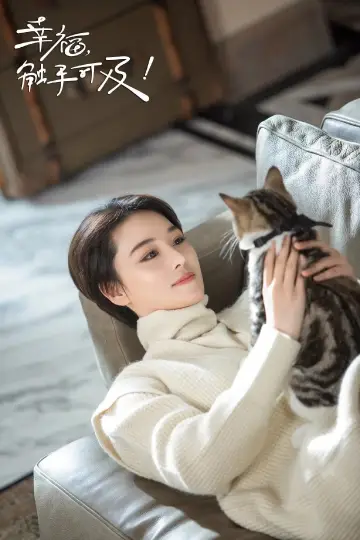 Poster for the TV series "幸福，触手可及！（DVD版）" #1443572