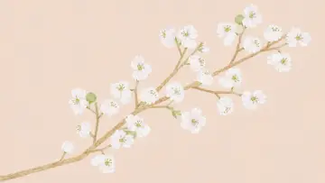 Backdrop for the TV series "Blossom" #1816193