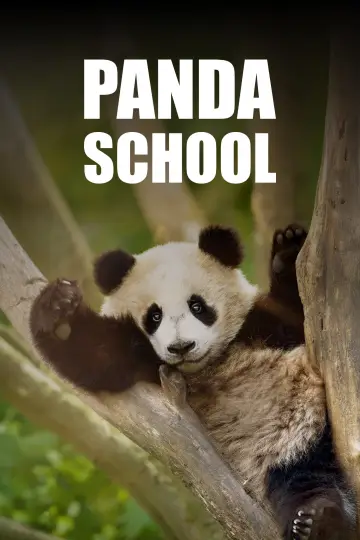 Panda School Poster