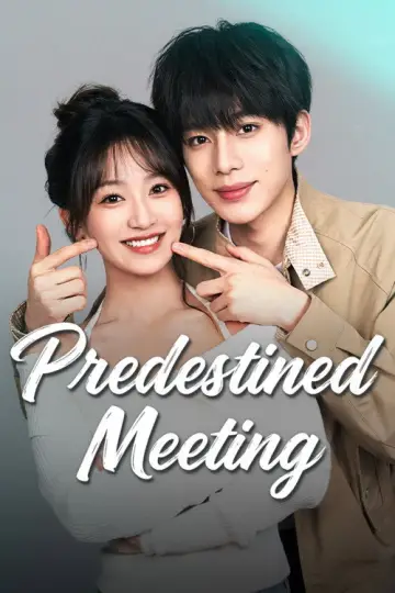 Predestined Meeting Poster