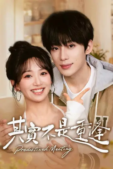 Poster for the TV series "Predestined Meeting" #1476855