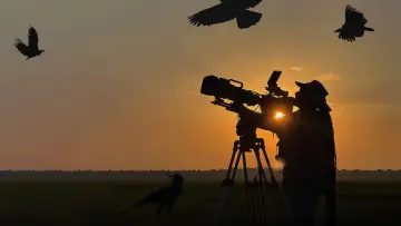 Backdrop for the TV series "Hamza: Birds of Prey" #1606844