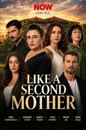 Like A Second Mother Poster