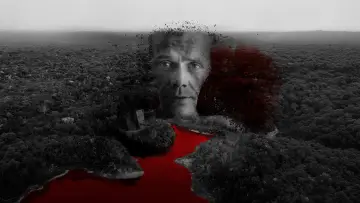 Backdrop for the TV series "Morte e Mistério na Amazônia" #1667250
