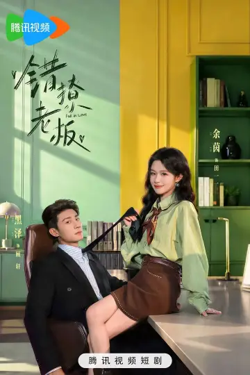 Poster for the TV series "错撩老板" #1673775