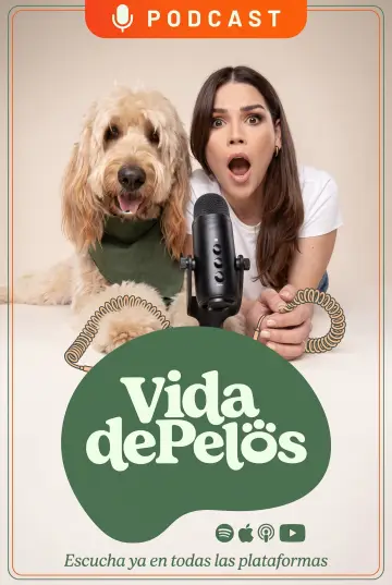 Vida de pelos Poster