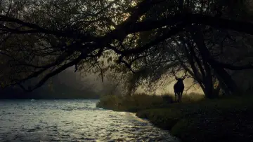 Backdrop к сериалу "Hannibal" #1306123