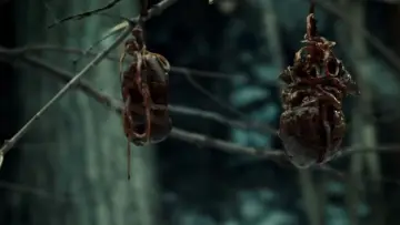 Backdrop к сериалу "Hannibal" #1306178