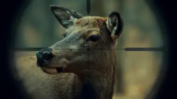 Backdrop к сериалу "Hannibal" #1306188
