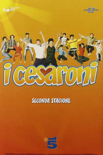 Poster for the TV series "The Cesaronis" #1382594