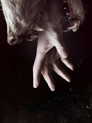 Poster for the TV series "Hemlock Grove" #1378951
