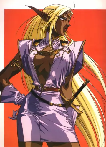 Poster for the TV series "Record of Lodoss War" #1505425