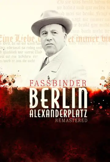 Poster for the TV series "Berlin Alexanderplatz" #1598886