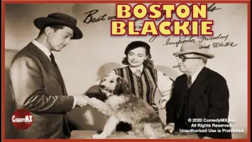 Backdrop for the TV series "Boston Blackie" #1537957
