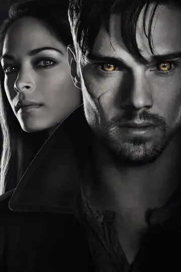 Poster for the TV series "Beauty and the Beast" #1368174