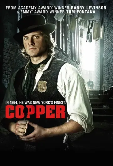 Poster for the TV series "Copper" #1850282