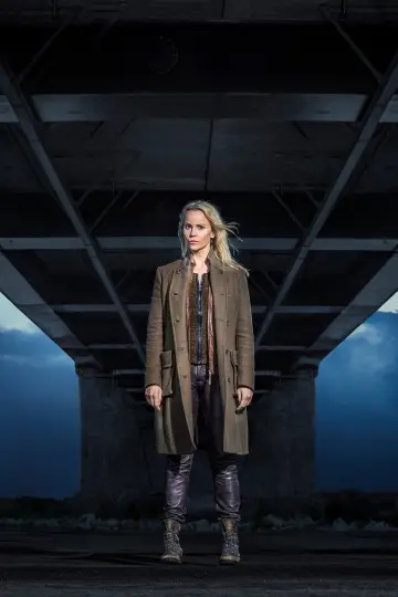 Poster for the TV series "The Bridge" #1340010