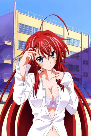 Poster for the TV series "High School DxD" #1615180