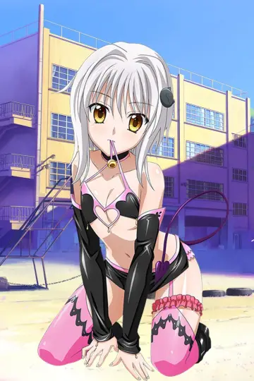 Poster for the TV series "High School DxD" #1615190