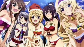 Backdrop к сериалу "Infinite Stratos" #1391425