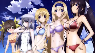 Backdrop к сериалу "Infinite Stratos" #1391430