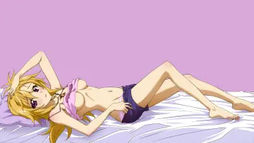 Backdrop к сериалу "Infinite Stratos" #1391431