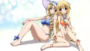 Backdrop к сериалу "Infinite Stratos" #1391432