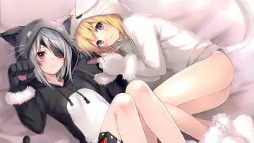 Backdrop к сериалу "Infinite Stratos" #1391434