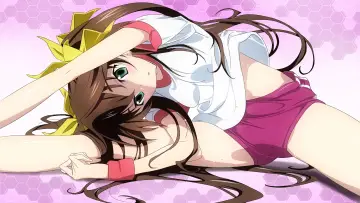 Backdrop к сериалу "Infinite Stratos" #1391436