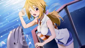 Backdrop к сериалу "Infinite Stratos" #1391437