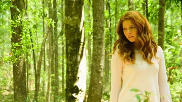 Backdrop к сериалу "Under the Dome" #1342356