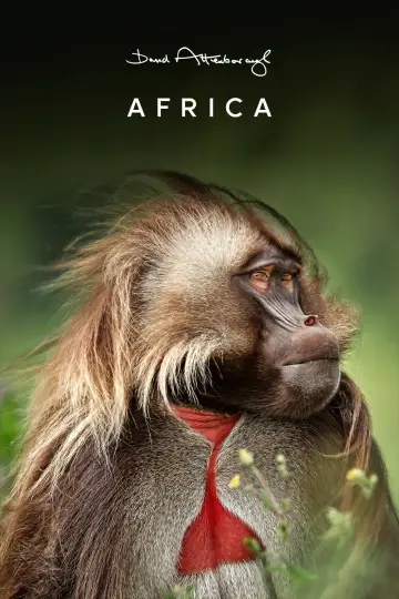 Poster for the TV series "Africa" #1870703