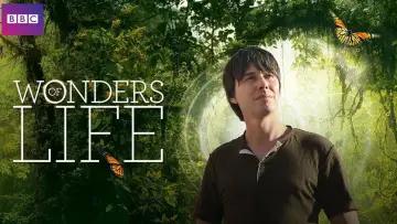 Backdrop for the TV series "Wonders of Life" #1810343