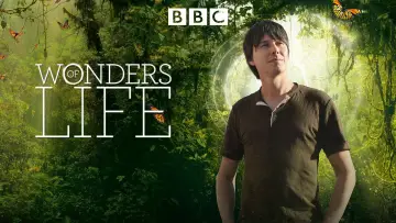 Backdrop for the TV series "Wonders of Life" #1810348