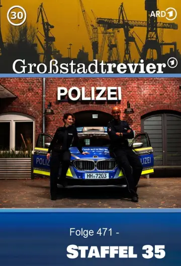 Poster for the TV series "Großstadtrevier" #1679864