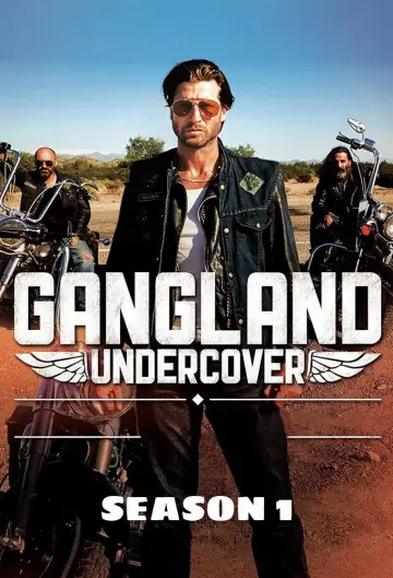 Poster for the TV series "Graceland" #1727643