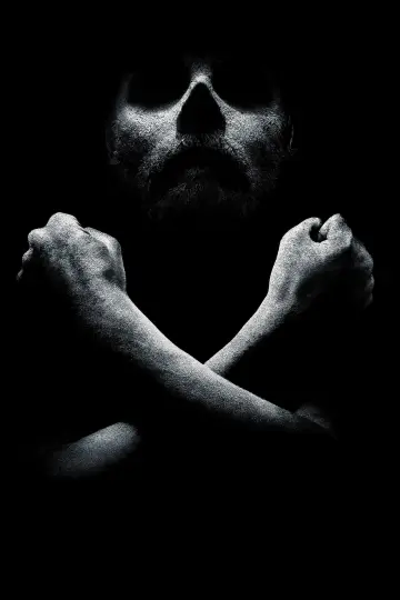 Poster к сериалу "Black Sails" #1324942