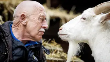Backdrop к сериалу "The Incredible Dr. Pol" #1415055