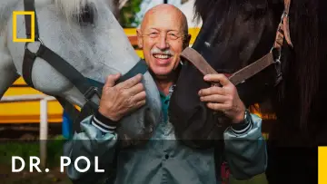 Backdrop к сериалу "The Incredible Dr. Pol" #1415076