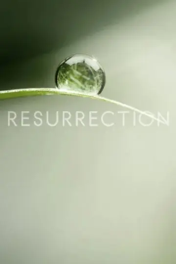 Poster к сериалу "Resurrection" #1451039