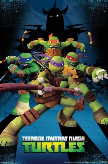 Poster for the TV series "Teenage Mutant Ninja Turtles" #1264227