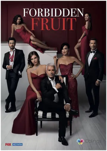 Poster к сериалу "Forbidden Fruit" #1357150