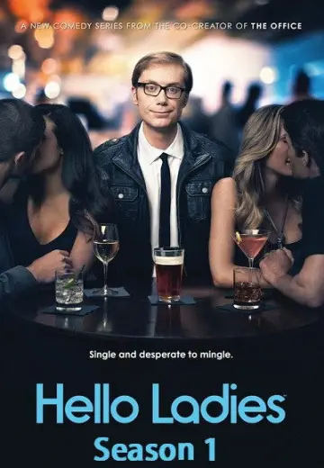 Poster for the TV series "Hello Ladies" #1885461
