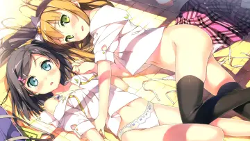 Backdrop for the TV series "The "Hentai" Prince and the Stony Cat" #1435767