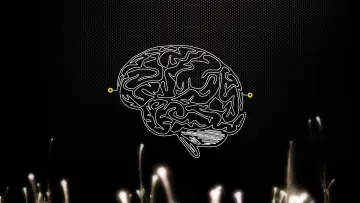 Backdrop for the TV series "Brain Games" #1681087