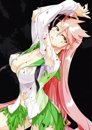 Poster for the TV series "High School of the Dead" #1657406