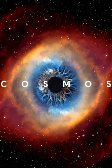 Cosmos Poster
